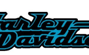 HARLEY-DAVIDSON®DECAL FUEL TANK 14293-94