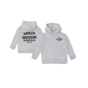 HARLEY-DAVIDSON® B&S LOGO FLEECE TERRY PULLOVER HOODIE GRIJS 6590215