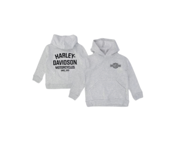 HARLEY-DAVIDSON® B&S LOGO FLEECE TERRY PULLOVER HOODIE GRIJS 6590215