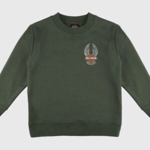 HARLEY-DAVIDSON® LITTLE BOY CREW HOODIE 28291