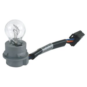 Socket assembly, with bulb, for center mounted taillight 514106