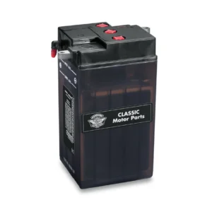 6V Conventionele accu - Droog 66006-29F